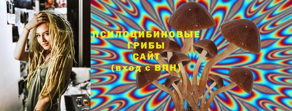 ГАЛЛЮЦИНОГЕННЫЕ ГРИБЫ Абдулино