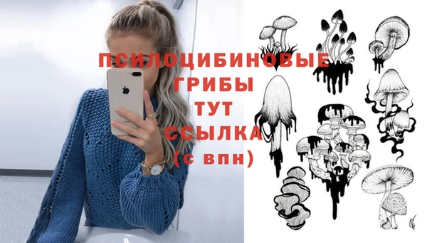 дживик Абаза
