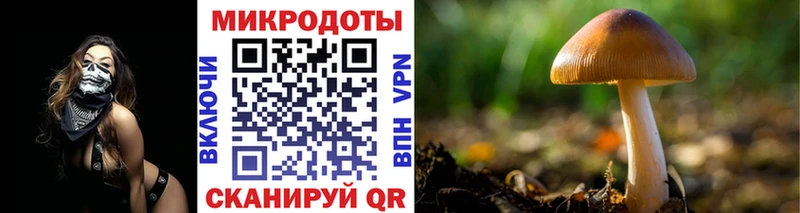 где найти наркотики  Тетюши  Галлюциногенные грибы Cubensis 