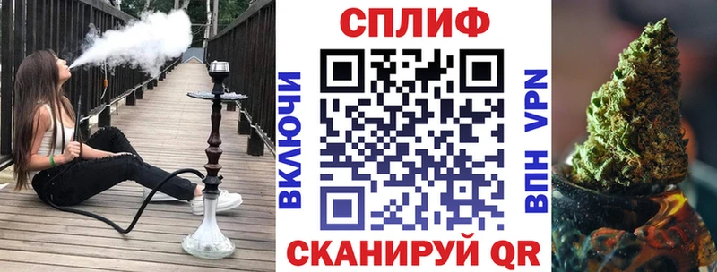 Канабис сатива  блэк спрут   Тетюши 